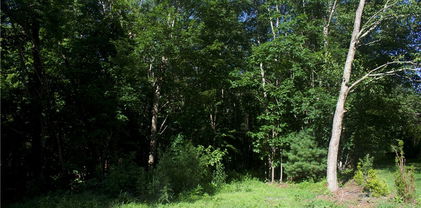 Lot 2A Whispering Pines Rd, Boone