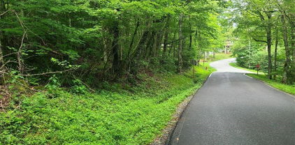 TBD Elk Horn Road, Sugar Mountain