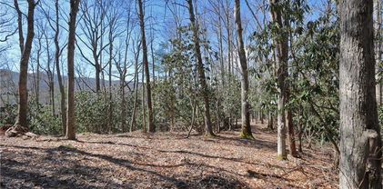 Lots 47 & 48 Abaco Drive, Vilas