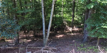 201 Jackpine Road, Beech Mountain