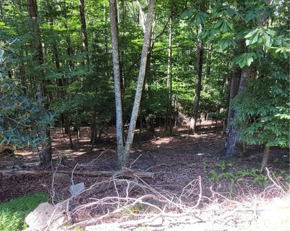 201 Jackpine Road, Beech Mountain