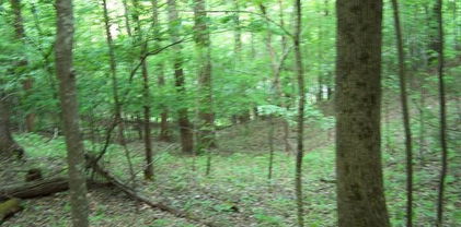 Tbd Powder Horn Mountain Road Unit N/A, Deep Gap