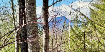 54.2 acres, Lot 837 High Valley Way, Lenoir