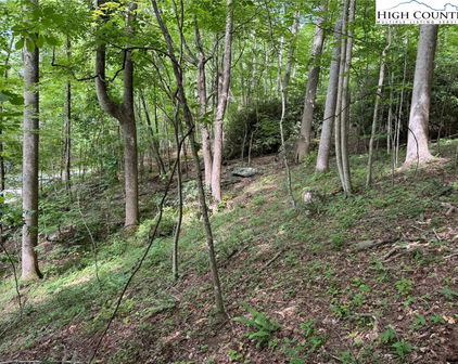 TBD Boulder Gardens Road, Banner Elk