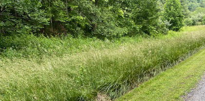 Lot 29 Riverside Drive, Sparta