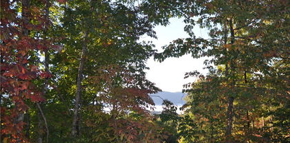 TBD Sampson Road, Lenoir