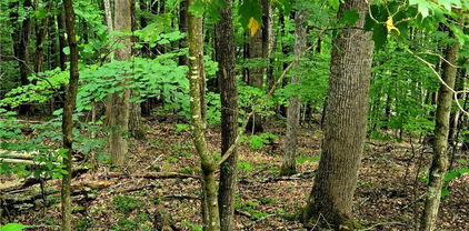 TBD Red Fox Ridge, Boone