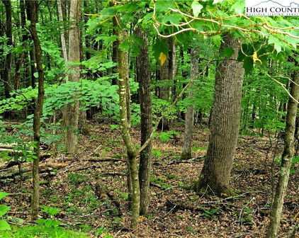 TBD Red Fox Ridge, Boone