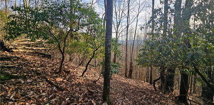 Lot 111 Sunset View Dr, Grassy Creek
