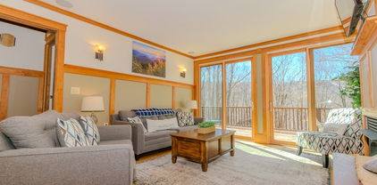 169 Hornbeam Road, Beech Mountain