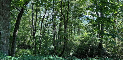 TBD Camden Lane, Blowing Rock