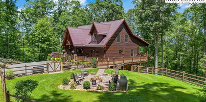 180 Raccoon Ridge, Lansing