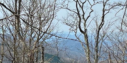 TBD Moss Rock Lane, Sugar Mountain