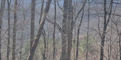 TBD Lot 17 Carefree Cove Road, Zionville