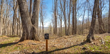 Lot 47 Poplar Forest Drive, Boone