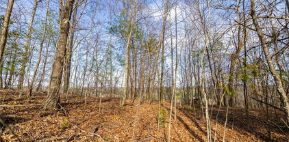 TBD Autumn Run, West Jefferson