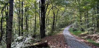 TBD Happy Land Road, Piney Creek