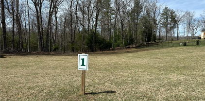 Lot 1 Turtle Ridge Road, Sparta