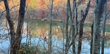 TBD Lakeside Drive, West Jefferson
