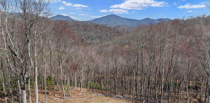 Lot 36 Poplar Forest Drive, Boone