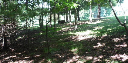 TBD Hickory View Drive Unit 34, Sparta