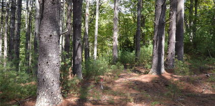 Lot #12 Enchanted Forrest Drive, Piney Creek