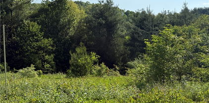 TBD Holly Ridge Road, West Jefferson