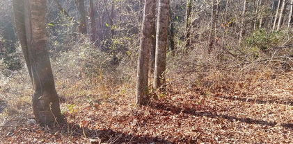 TBD Orchard Creek Road, Deep Gap