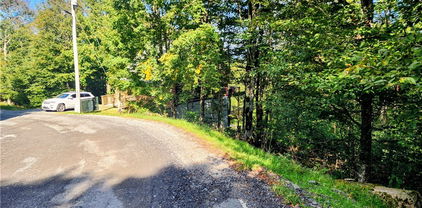 1060 Charter Hills Road, Beech Mountain
