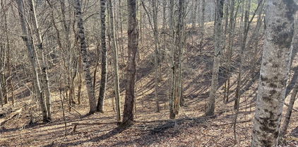 19 Jackson Ridge Road, Boone