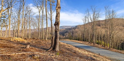 WR-16 Firethorne Lane, Elk Park