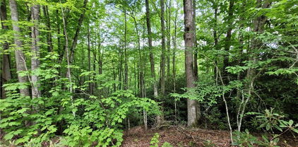 121, 123, 125 Deergrass Road, Beech Mountain