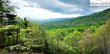 TBD Ivy Ridge Road, Deep Gap