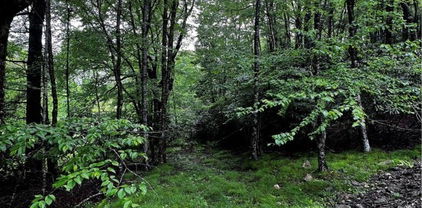Lot 40 E Cielo Road, Blowing Rock