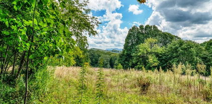 tbd Cow Camp Road, Newland