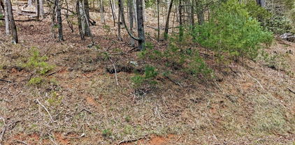 TBD Trout Lake Road, Deep Gap
