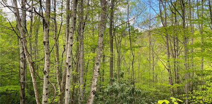 117 Deergrass Road, Beech Mountain