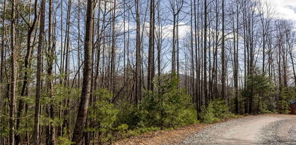 TBD Fox Squirrel Circle, McGrady