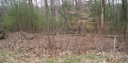 Lot 68 Forest Hill Drive, Sparta