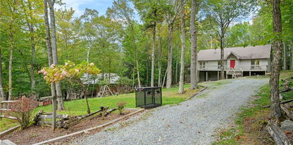 137 Staghorn Hollow Road, Beech Mountain