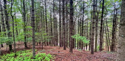 TBD Daniel Pierce Road, West Jefferson