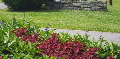 TBD Hemlock Drive, Newland