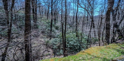 Lot 1 Tanawha Parkway, Blowing Rock