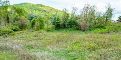 TBD US Hwy. 21 and Stoker Road, Glade Valley