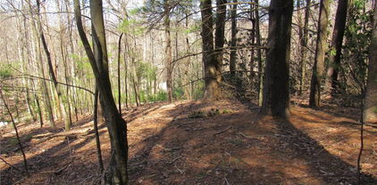 Lot 6 Green Mountain Road, Sparta