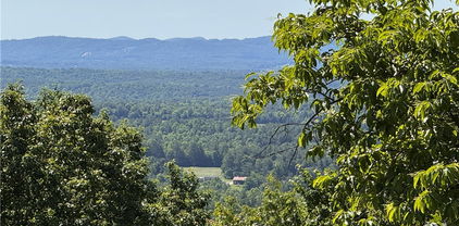 133 Steeple Chase Trail, McGrady