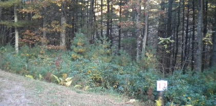 Lot 12 Pine Chase, Glade Valley