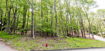 508 Charter Hills Road, Beech Mountain