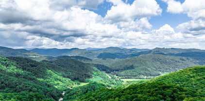 82+/- Acres Double Head Mountain Road, Newland