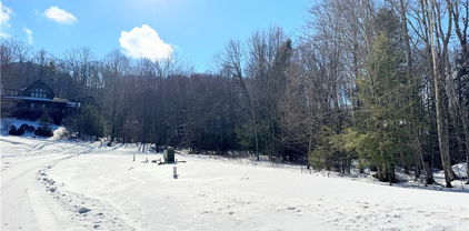 Lots 4 & 5 Trillium Lane, Linville